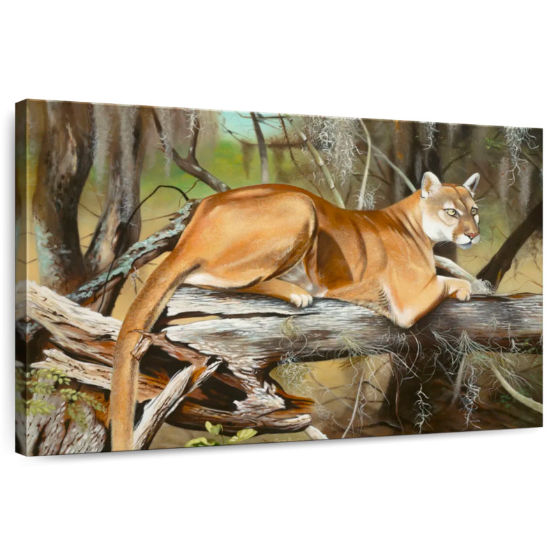 Florida Panther, H 16 po x l 24 po