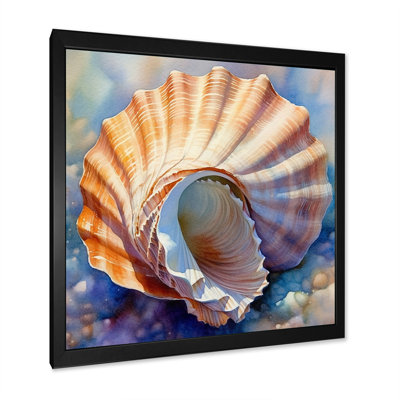 Coastal Seashell I