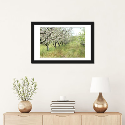 " Apple Orchard " by Lupen Grainne