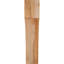 Attelle de genou Westlake-29310046-31230611-31230179