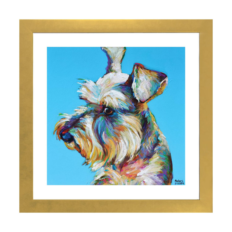 «Dylan the Schnauzer» par Robert Phelps - reproduction d'art, H 24 po x l 24 po x p 1 po, Blanc, Papier encadré doré