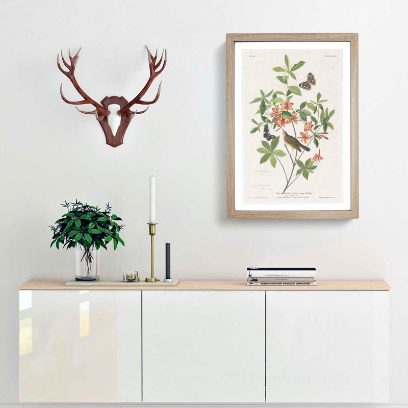 Warbler Bird & Butterflies by John Audubon - Picture Frame Painting Print, 36cm H x 27cm W x 2cm D, Oak Framed