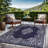 Aldo Indoor / Outdoor Rug-111775241