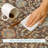 Machine Washable Indoor/Outdoor Chantille ACN2758 Global Rug-1960123237-1960123238