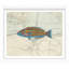 Vibrant Fish 2 Giclee Print