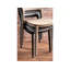 Phaedra 45cm H Dinning Chair-2131994425