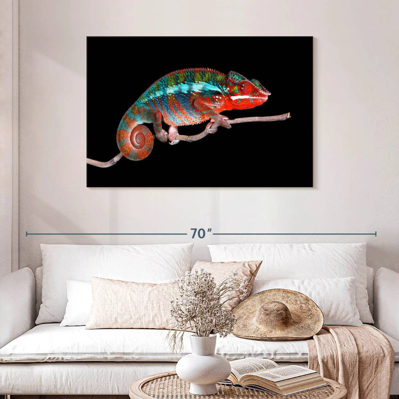 Male Panther Chameleon, 30" H x 45" W
