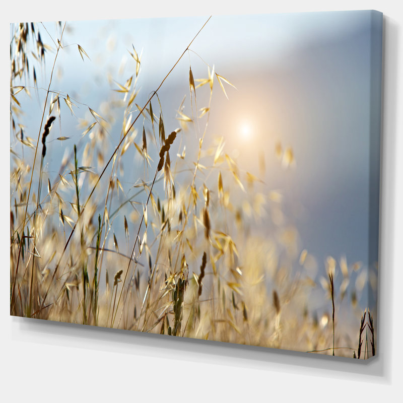 Typique, Toscane, coucher de soleil, Italie - reproduction de photo sur toile tendue, H 16 po x l 32 po x P 1 po