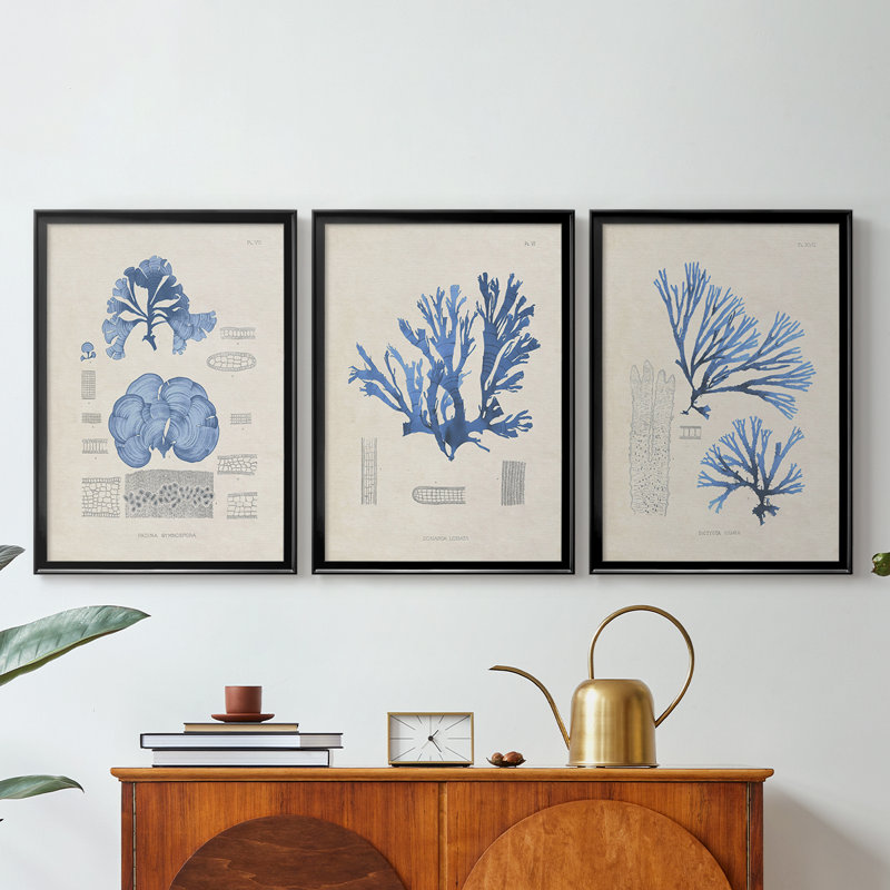 Blue Marine Algae IV - Toile tendue avec châssis sur mesure - 3 pièces, Noir, H 21 po x l 30 po