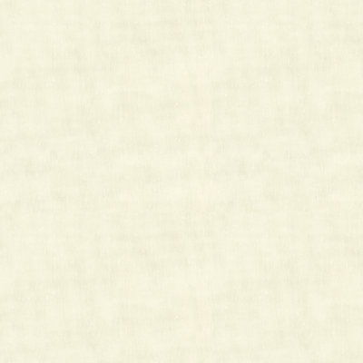 Basics Fabric