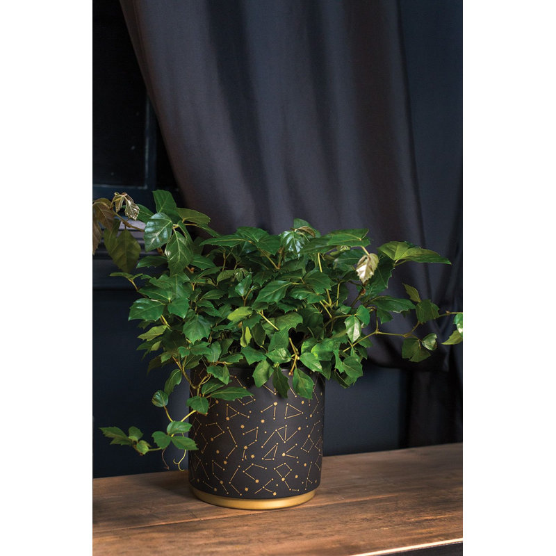 Pot à fleur en céramique Bansari, H 6,5 po x l 6,5 po x P 6,5 po