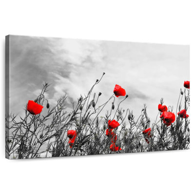 Harnek, fleurs de coquelicots rouges