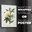 Turpin Tropical Botanicals VI - Impression sur toile seulement - NON-CADRE-1712280320