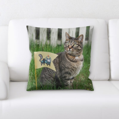 Coussin pour chat