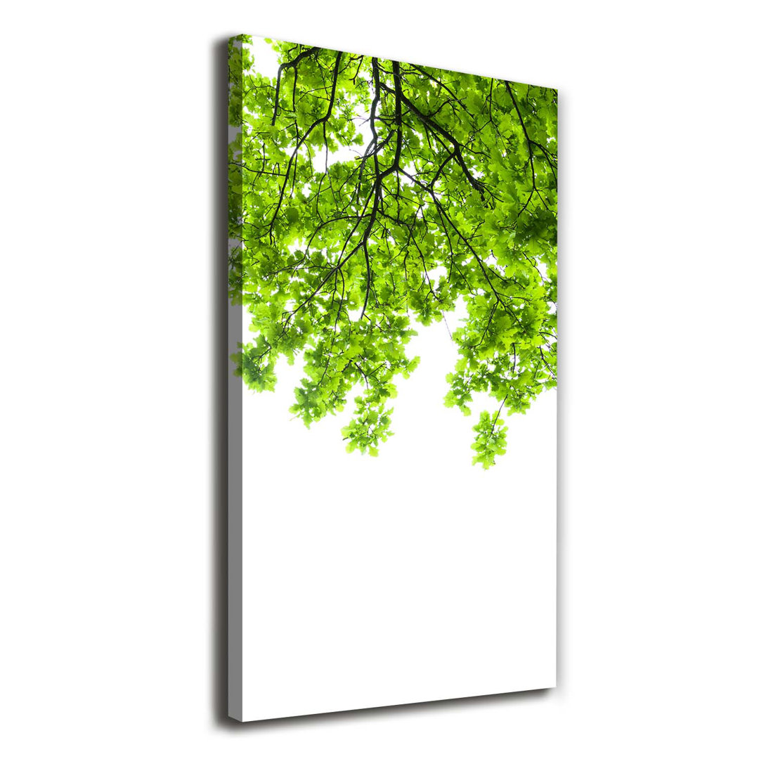 Crown Of Trees - Kunstdrucke auf Leinwand - Wrapped Canvas