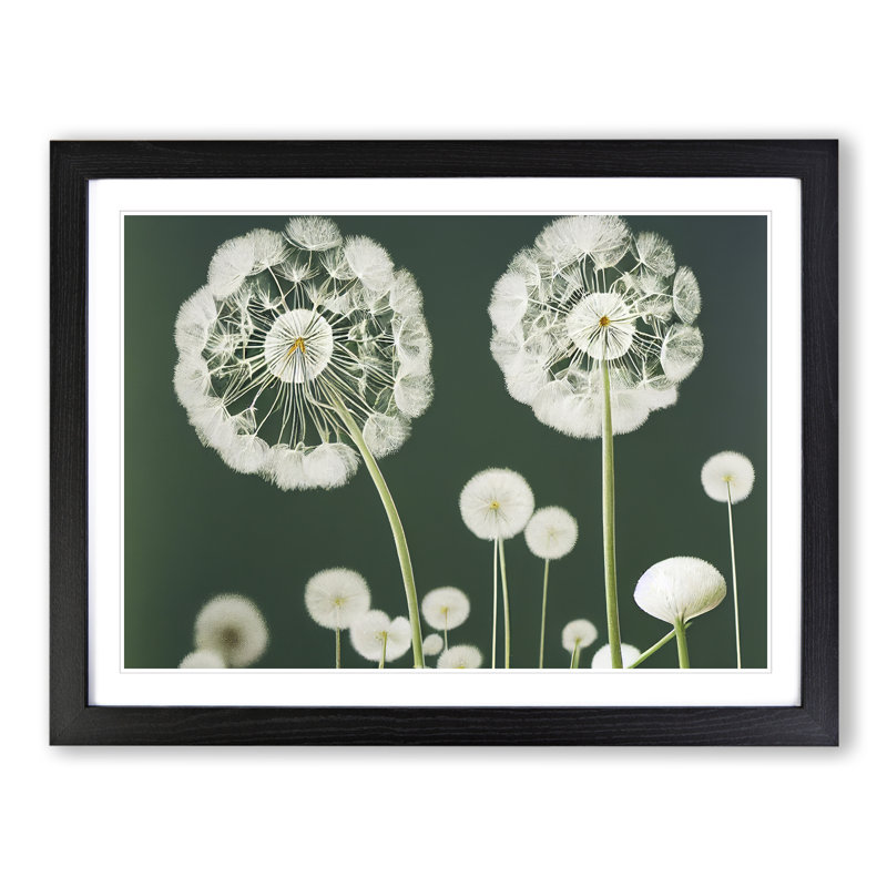 Charming Dandelion Flowers - Framed Print, Black, 46cm H x 64cm W x 2cm D