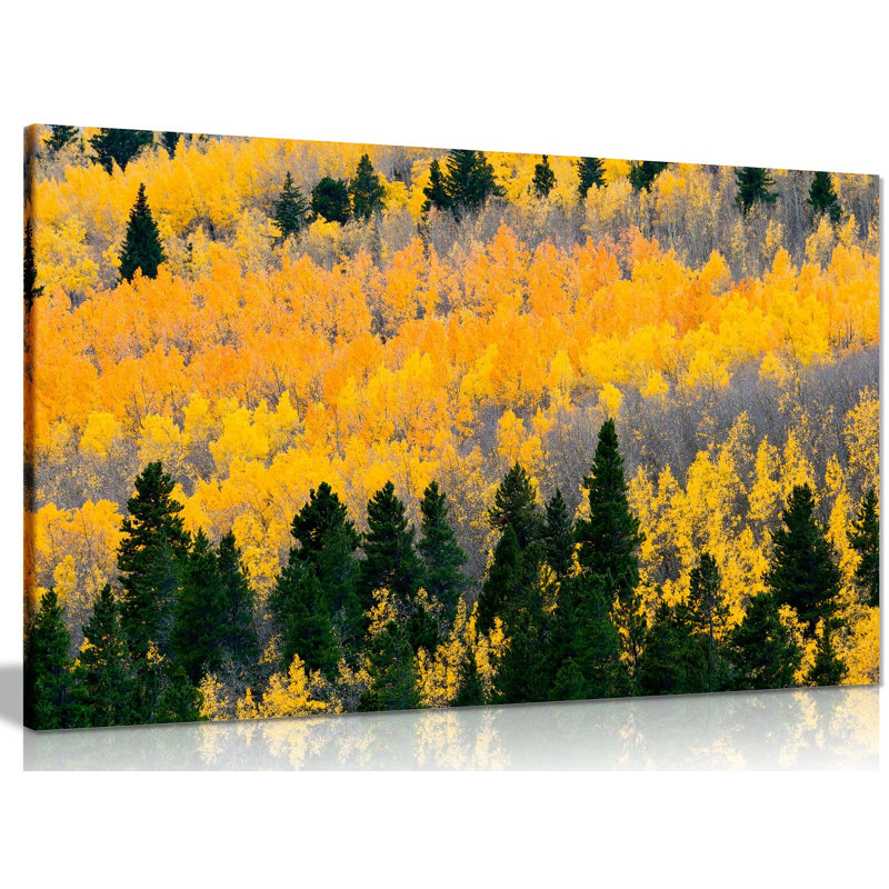 Autumn Leaves - Wrapped Canvas Print, 51cm H x 76cm W