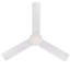 Enosburgh Ceiling Fan with LED Lights