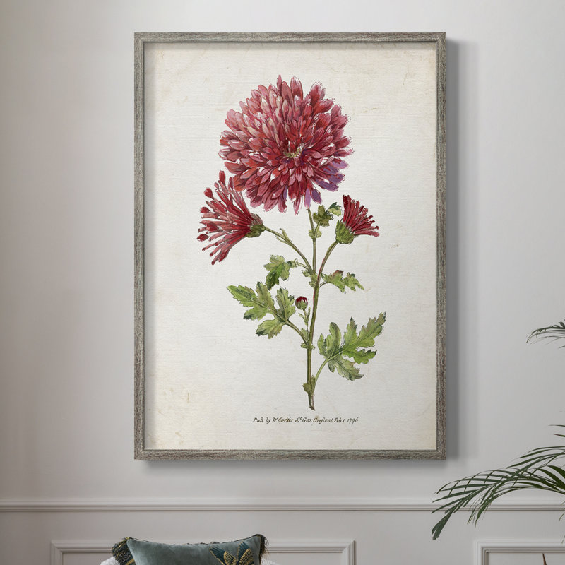 «Botanical III», reproduction encadrée - bois massif, H 11 po x l 9 po
