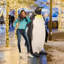 Statue de manchot royal antarctique