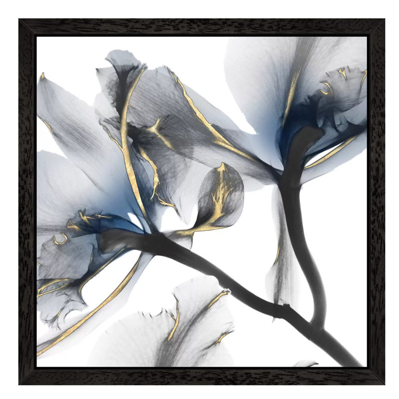 Indigo Luster Cyclamen II by Albert Koetsier - Wrapped Canvas Print, 45.72 cm H x 45.72 cm W, Black Framed
