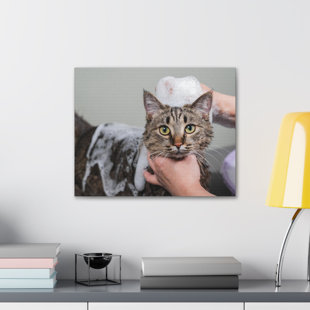 No Frame Print on Canvas