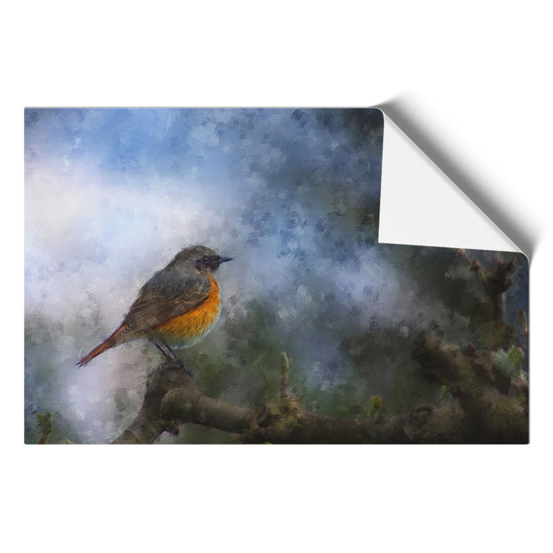 Common Redstart Bird Painting - Frameless Print, 30cm H x 42cm W x 0.1cm D