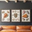 Collection de coquillages VII - ensemble de 3 reproductions d'art sur toile-1813018575-1813018574