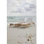 Chaise longue en teck Coast - teck naturel et toile tendue-51960230