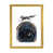 Gold Framed Paper is unavailable