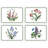 Pimpernel Botanic Garden Placemats 15.7 X 11.7"