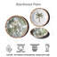 Assiette plate en mélamine Rainforest Palm NewWave - vert - 10,5 po - ensemble de 6
