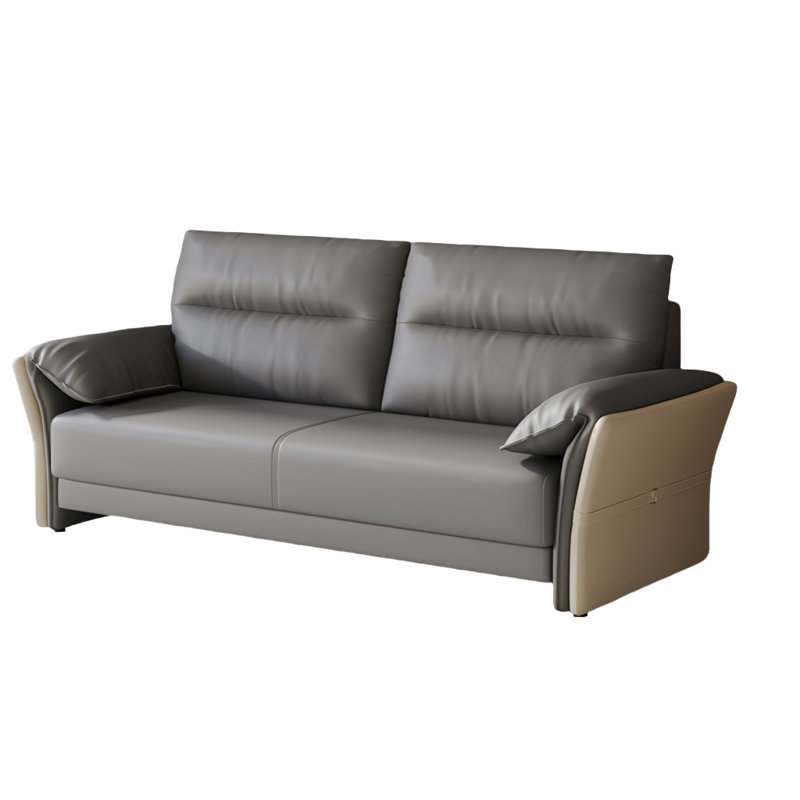 Canapé de luxe simple et léger, Similicuir brun clair / gris foncé