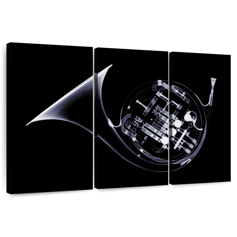 French Horn X-Ray