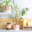 Nicola Spring - Reactive Glaze Plant Pots-63880890-63880895