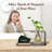 Multifunctional Desk Organizer And Storage For Office Workspace Home Supplies