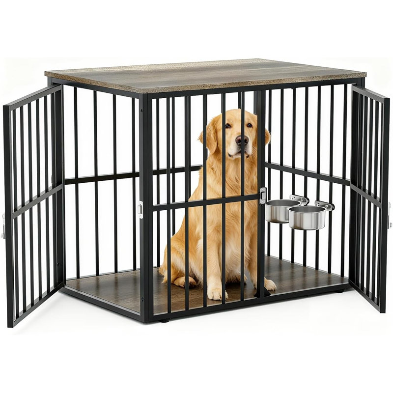 Dog House