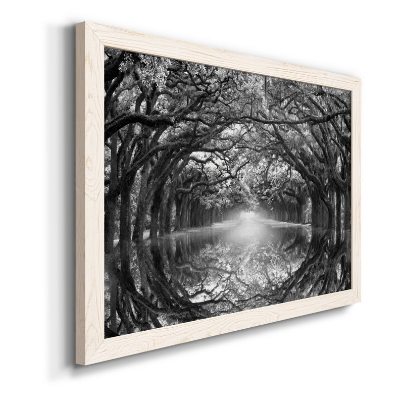 " Oak Alley Reflection ", White Framed Canvas, 20" H x 24" W x 1" D