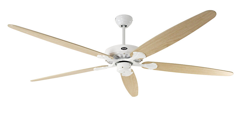 Boutwell 180cm Ceiling Fan, Lacquered White with Maple and Beech Blades