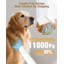 Aspirateur de toilettage à faible bruit 5-en-1 pour animaux de compagnie, trousse de toilettage pour chien 11000Pa avec bac à poussière 2,5L