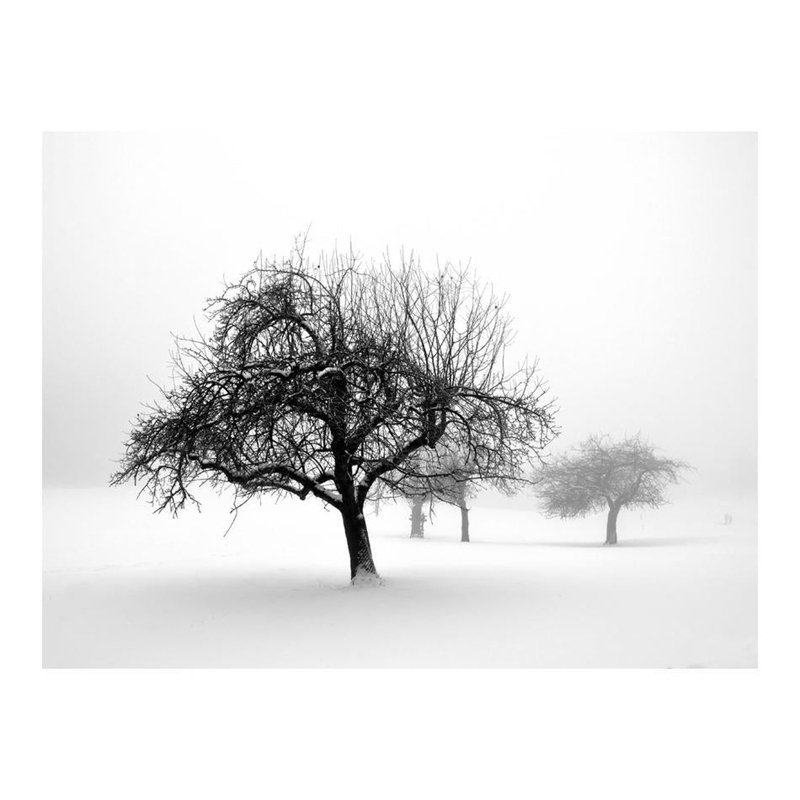 Adhésif mural Dayu Winter Trees, L 121 po x l 157 po