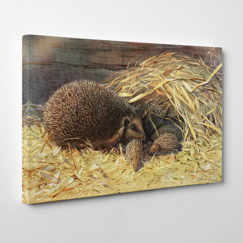Wrapped Canvas Painting, 35cm H x 50cm W