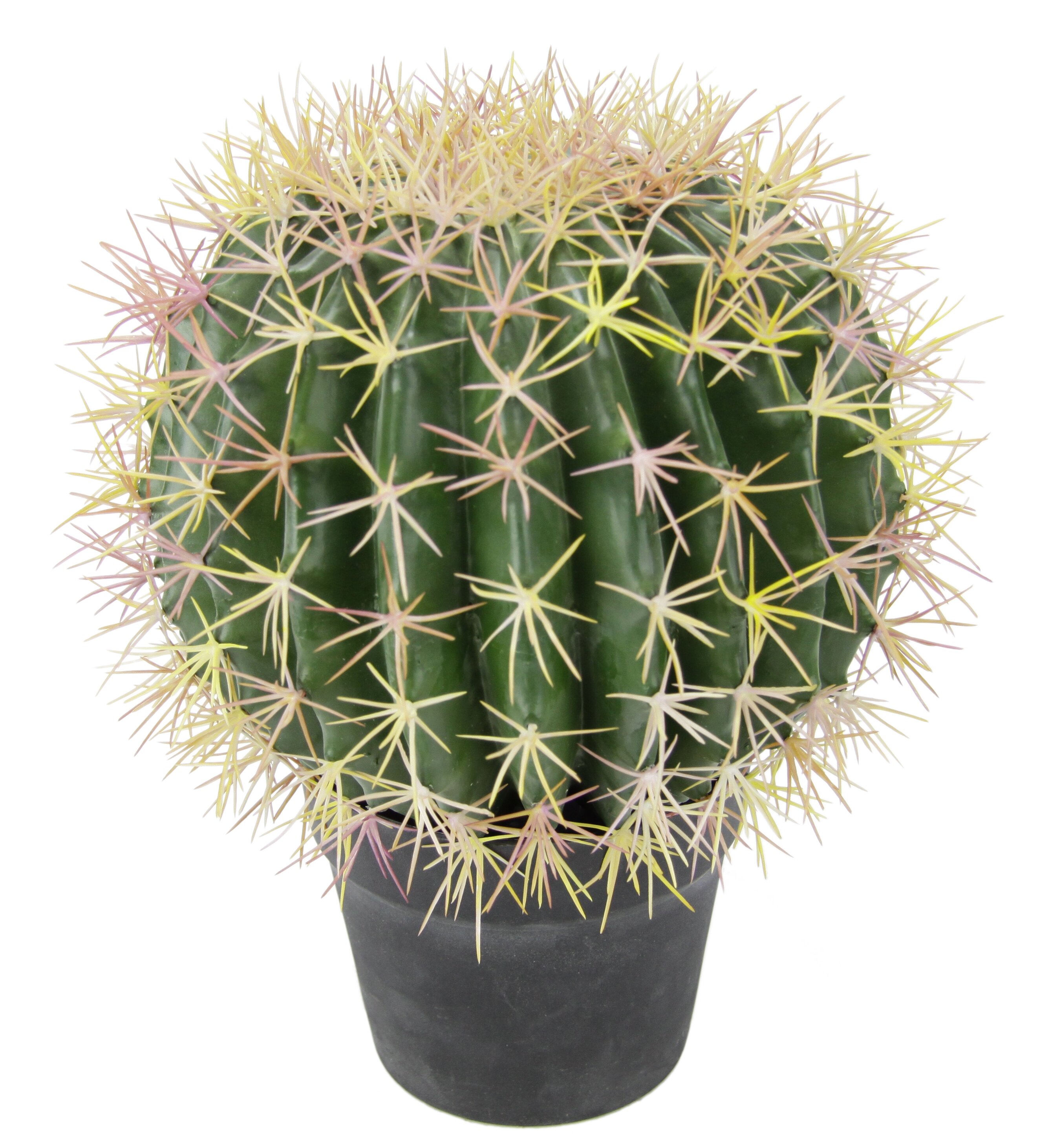 Die Saisontruhe Kunstpflanze Kaktus