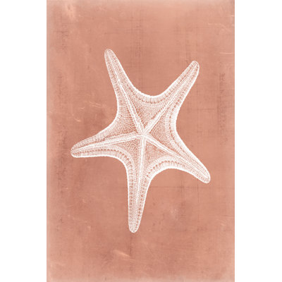 Sealife On Coral IV - Wrapped Canvas Painting