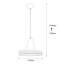 Luminaire suspendu en forme de dôme à 1 lumière Braselton