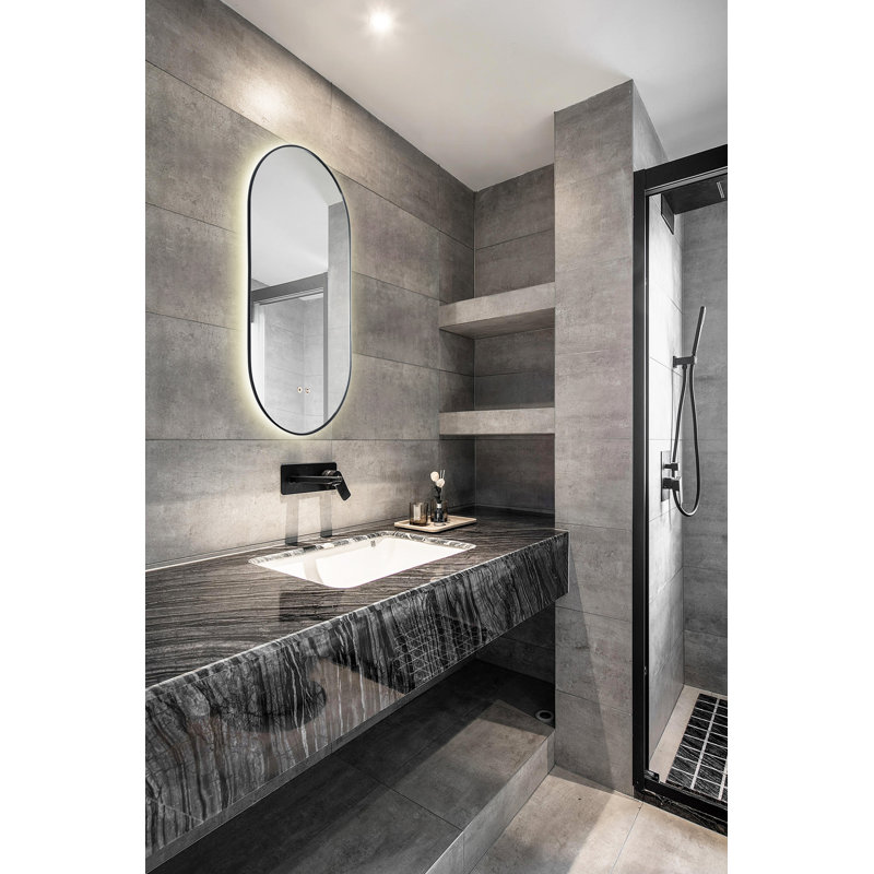 Miroir de salle de bain à miroir 23,5 pouces avec éclairage à DEL Orren Ellis, Noir mat