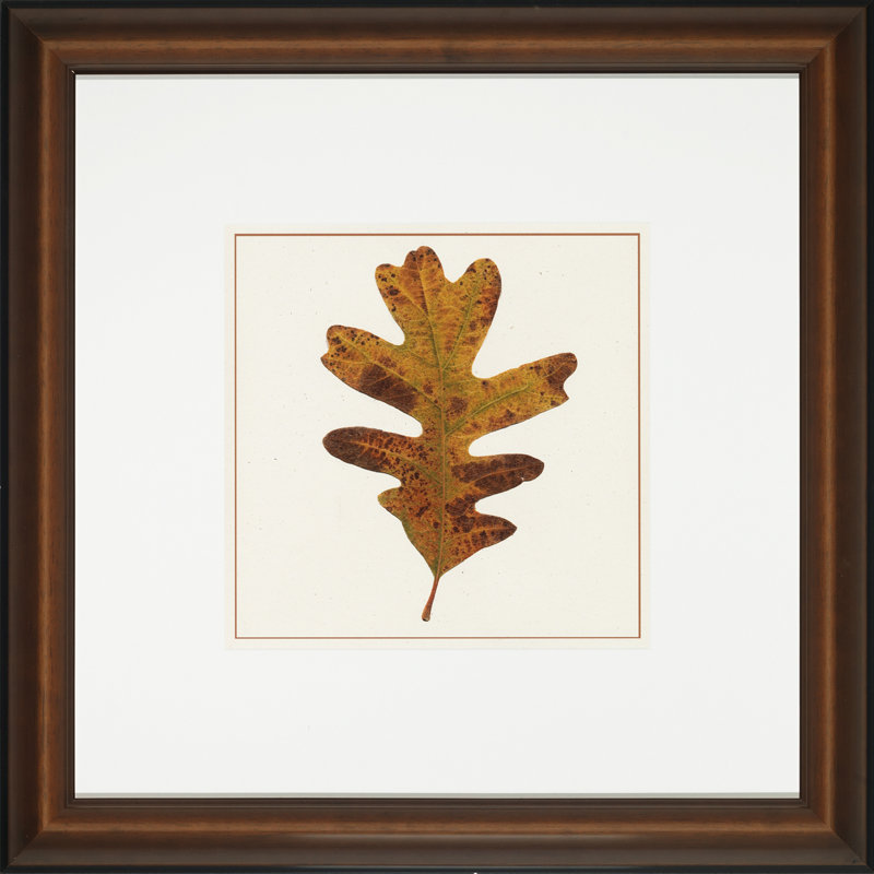 Nature Leaves III Print
