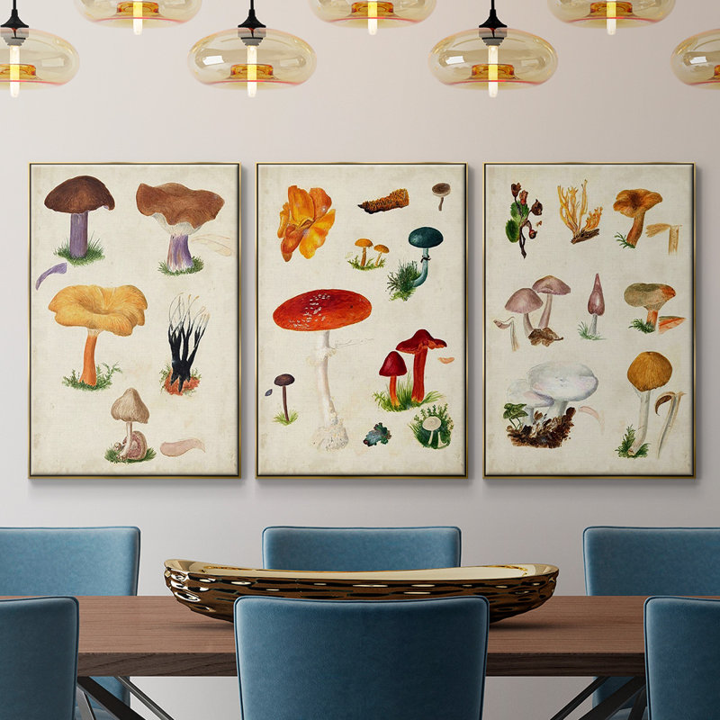 Mushroom Species VI, Or, H 24 po x l 48 po x P 2 po
