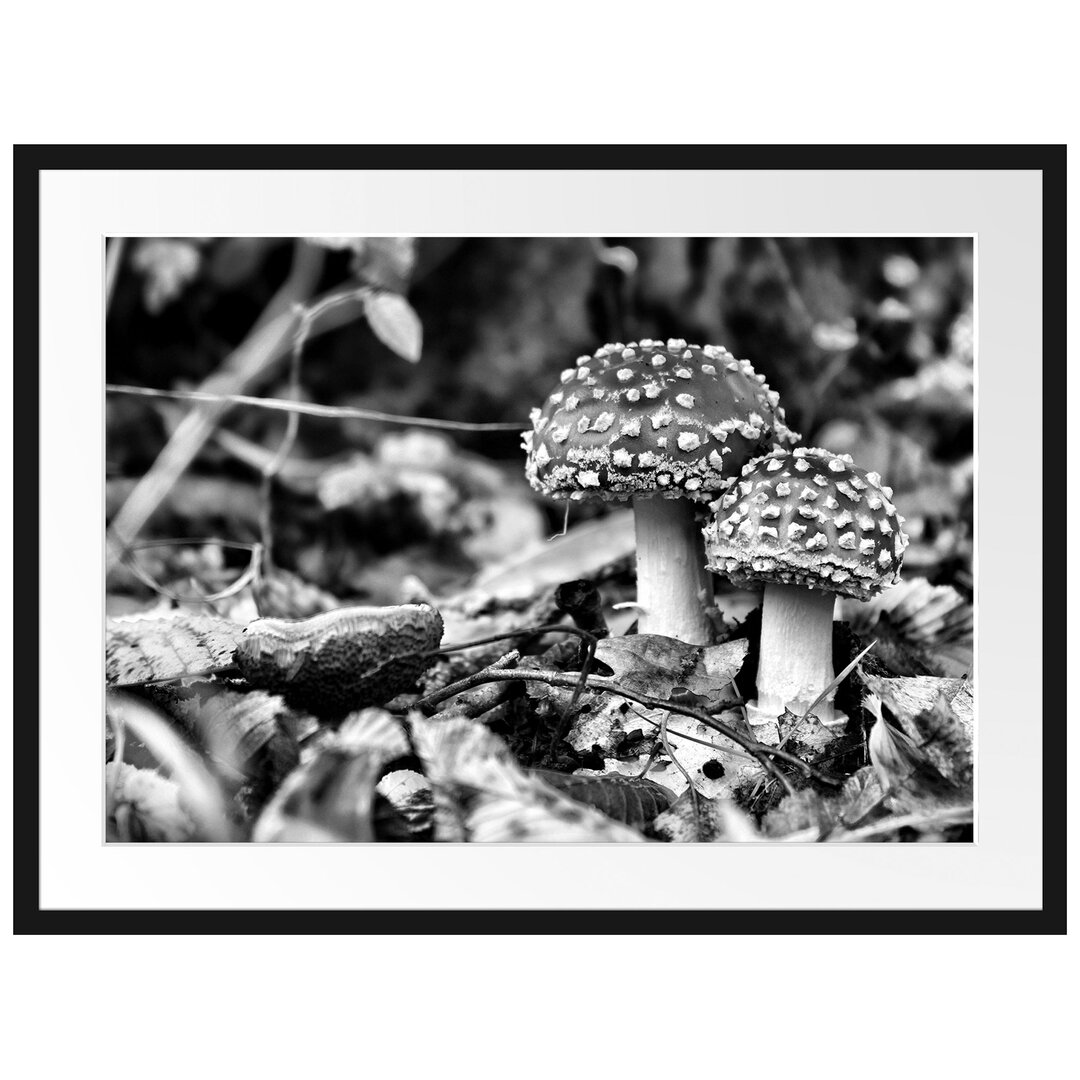 Gerahmtes Poster Pilz im Wald