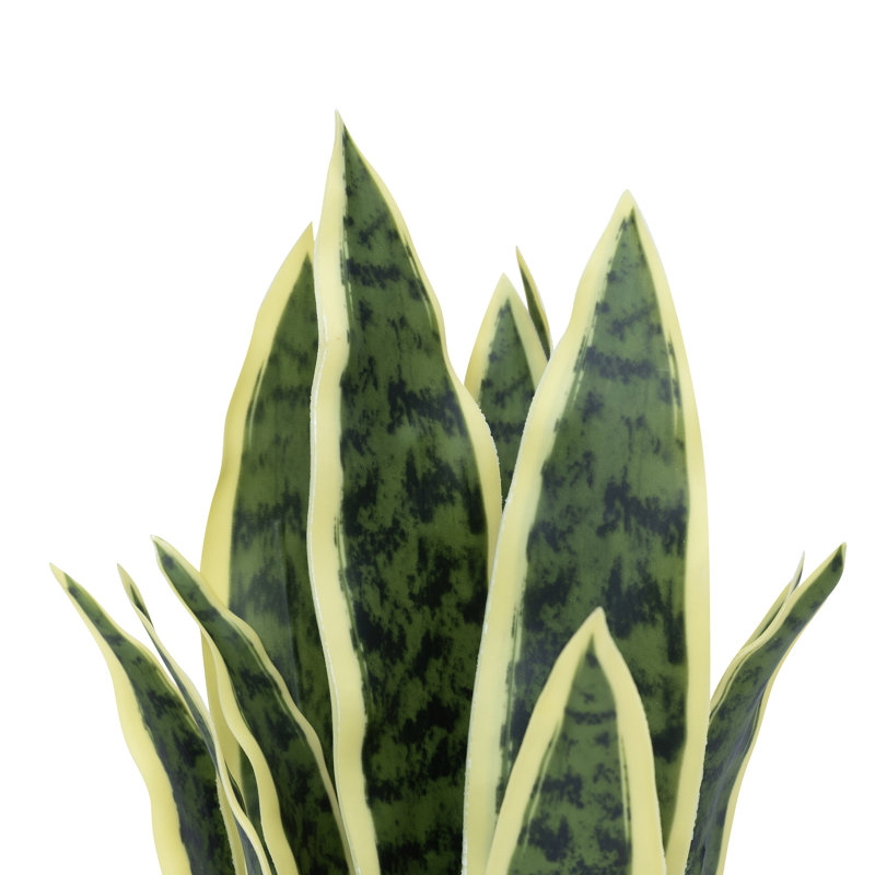 Ensemble de 2 pots à fleurs 18 po Faux Sansevieria